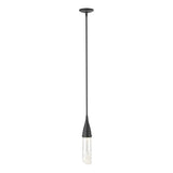 Hubbardton Forge 2019 Black Clear Glass (ZM) Multi Fritz Mini Pendant