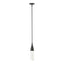 Hubbardton Forge 2019 Black Clear Glass (ZM) Multi Fritz Mini Pendant