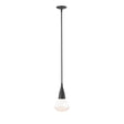 Hubbardton Forge 2020 Black Clear Glass (ZM) Multi Fritz Large Pendant