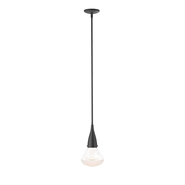 Hubbardton Forge 2020 Black Clear Glass (ZM) Multi Fritz Large Pendant