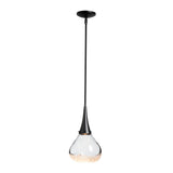 Hubbardton Forge 2020 Black Clear Glass (ZM) Multi Fritz Large Pendant