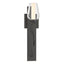 Hubbardton Forge 2011 Natural Iron Seeded Glass with Opal Diffuser (ZS) Flora Sconce