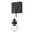 Hubbardton Forge 2018 Black Clear Glass (ZM) Kiwi Sconce