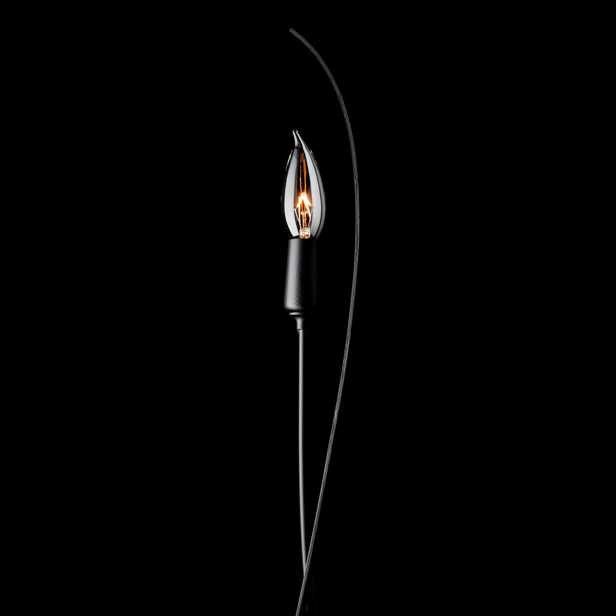 Hubbardton Forge 2021 Black Willow Sconce