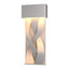 Hubbardton Forge 2016 Coastal Burnished Steel Tress Small Dark Sky Friendly LED Outdoor Sconce