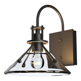 Hubbardton Forge 2020 Coastal Black Clear Glass (ZM) Henry Small Glass Shade Outdoor Sconce