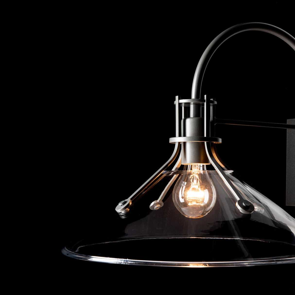 Hubbardton Forge 2020 Coastal Burnished Steel Clear Glass (ZM) Henry Large Glass Shade Outdoor Sconce