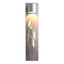Hubbardton Forge 2015 Coastal Burnished Steel Flux Dark Sky Friendly Outdoor Sconce