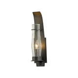 Hubbardton Forge 2008 Coastal Dark Smoke Seeded Clear Glass (II) Sea Coast Outdoor Sconce