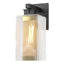 Hubbardton Forge 2021 Coastal Black Coastal Gold Clear Glass (ZM) Polaris Outdoor Medium Sconce