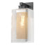 Hubbardton Forge 2021 Coastal Black Coastal Silver Clear Glass (ZM) Polaris Outdoor Large Sconce