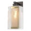 Hubbardton Forge 2021 Coastal Burnished Steel Coastal Gold Clear Glass (ZM) Polaris Outdoor Large Sconce