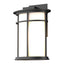 Hubbardton Forge 2013 Coastal Black Opal Glass (GG) Province Outdoor Sconce