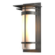 Hubbardton Forge 2003 Coastal Natural Iron Opal Glass (GG) Banded with Top Plate Large Outdoor Sconce