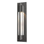Hubbardton Forge 2012 Coastal Natural Iron Clear Glass (ZM) Axis Outdoor Sconce