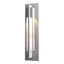 Hubbardton Forge 2012 Coastal Burnished Steel Clear Glass (ZM) Axis Outdoor Sconce