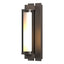 Hubbardton Forge 2013 Coastal Dark Smoke Clear Glass (ZM) Fuse Outdoor Sconce
