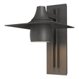 Hubbardton Forge 2012 Coastal Natural Iron Hood Large Dark Sky Outdoor Sconce