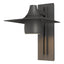 Hubbardton Forge 2012 Coastal Natural Iron Hood Large Dark Sky Outdoor Sconce