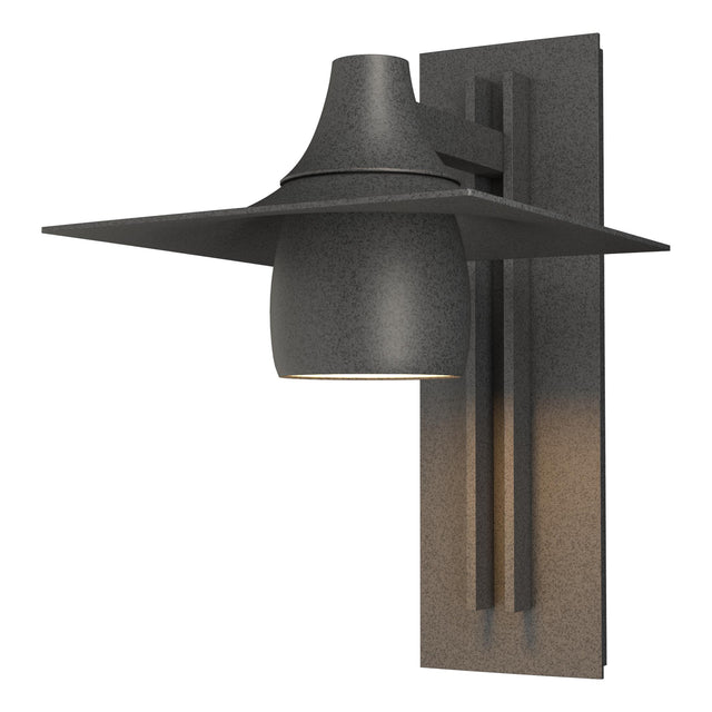Hubbardton Forge 2012 Coastal Natural Iron Hood Large Dark Sky Outdoor Sconce