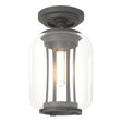 Hubbardton Forge 2022 Coastal Natural Iron Clear Glass (ZM) Fairwinds Outdoor Semi-Flush