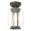 Hubbardton Forge 2022 Coastal Natural Iron Clear Glass (ZM) Fairwinds Outdoor Semi-Flush