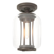 Hubbardton Forge 2022 Coastal Dark Smoke Clear Glass (ZM) Fairwinds Outdoor Semi-Flush