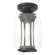 Hubbardton Forge 2022 Coastal Black Clear Glass (ZM) Fairwinds Outdoor Semi-Flush