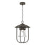 Hubbardton Forge 2019 Coastal Dark Smoke Clear Glass (ZM) Erlenmeyer Outdoor Pendant