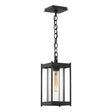 Hubbardton Forge 2023 Coastal Black Clear Glass (ZM) Cela Medium Outdoor Lantern