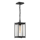 Hubbardton Forge 2023 Coastal Black Clear Glass (ZM) Cela Medium Outdoor Lantern