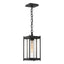 Hubbardton Forge 2023 Coastal Black Clear Glass (ZM) Cela Medium Outdoor Lantern