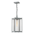 Hubbardton Forge 2023 Coastal Burnished Steel Clear Glass (ZM) Cela Large Outdoor Lantern