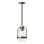 Hubbardton Forge 2023 Coastal Oil Rubbed Bronze Clear Glass (ZM) Multi Alcove Outdoor Pendant
