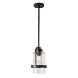 Hubbardton Forge 2023 Coastal Oil Rubbed Bronze Clear Glass (ZM) Multi Alcove Outdoor Pendant