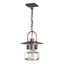 Hubbardton Forge 2016 Coastal Dark Smoke Clear Glass (ZM) Mason Large Outdoor Ceiling Fixture