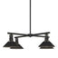 Hubbardton Forge 2021 Coastal Black Multi Henry Outdoor 4-Light Pendant