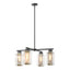 Hubbardton Forge 2021 Coastal Black Coastal Gold Clear Glass (ZM) Multi Polaris Outdoor 4-Light Pendant