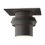Hubbardton Forge 2011 Coastal Natural Iron Twilight Dark Sky Friendly Outdoor Semi-Flush