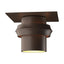 Hubbardton Forge 2011 Coastal Bronze Twilight Dark Sky Friendly Outdoor Semi-Flush