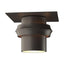 Hubbardton Forge 2011 Coastal Dark Smoke Twilight Dark Sky Friendly Outdoor Semi-Flush