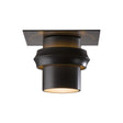 Hubbardton Forge 2011 Coastal Oil Rubbed Bronze Twilight Dark Sky Friendly Outdoor Semi-Flush