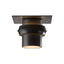 Hubbardton Forge 2011 Coastal Oil Rubbed Bronze Twilight Dark Sky Friendly Outdoor Semi-Flush