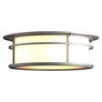Hubbardton Forge 2016 Coastal Burnished Steel Opal Glass (GG) Province Outdoor Flush Mount