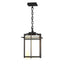 Hubbardton Forge 2007 Coastal Black Opal Glass (GG) Tourou Large Outdoor Ceiling Fixture