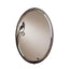 Hubbardton Forge 2006 Bronze Beveled Oval Mirror with Leaf