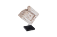 Phillips Collection Eroded Wood Block on Stand, Assorted Brown Tabletop