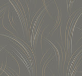 Candice Olson Charcoal Graceful Wisp Grey Wallpaper