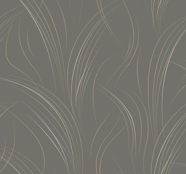 Candice Olson Charcoal Graceful Wisp Grey Wallpaper