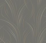Candice Olson Charcoal Graceful Wisp Grey Wallpaper